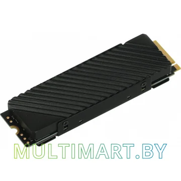 SSD диск Digma Top G3 1TB (DGST4001TG33T)